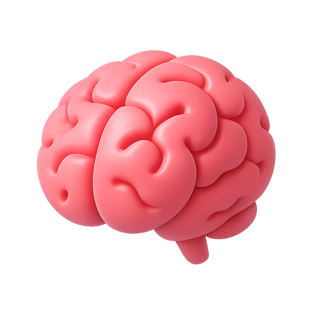 Brain